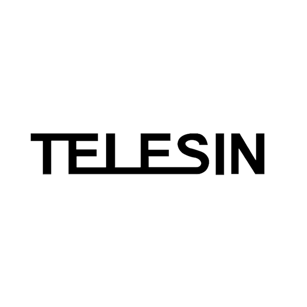 TELESIN-e1738360491413.png